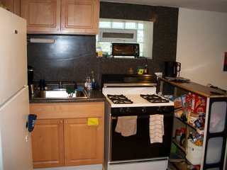 3310 W. Wabansia kitchen